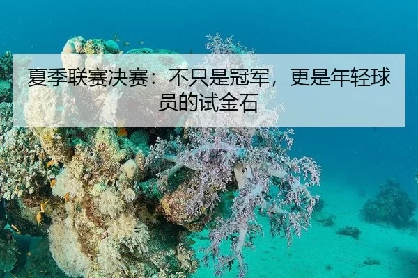 夏季联赛决赛：不只是冠军，更是年轻球员的试金石